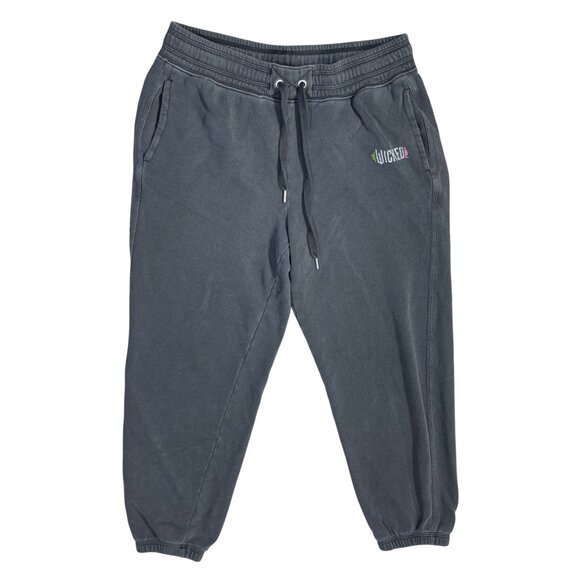 Aerie X Wicked Big Chill Jogger M Medium Grey Sweatpants Pull-On - Picture 1 of 7